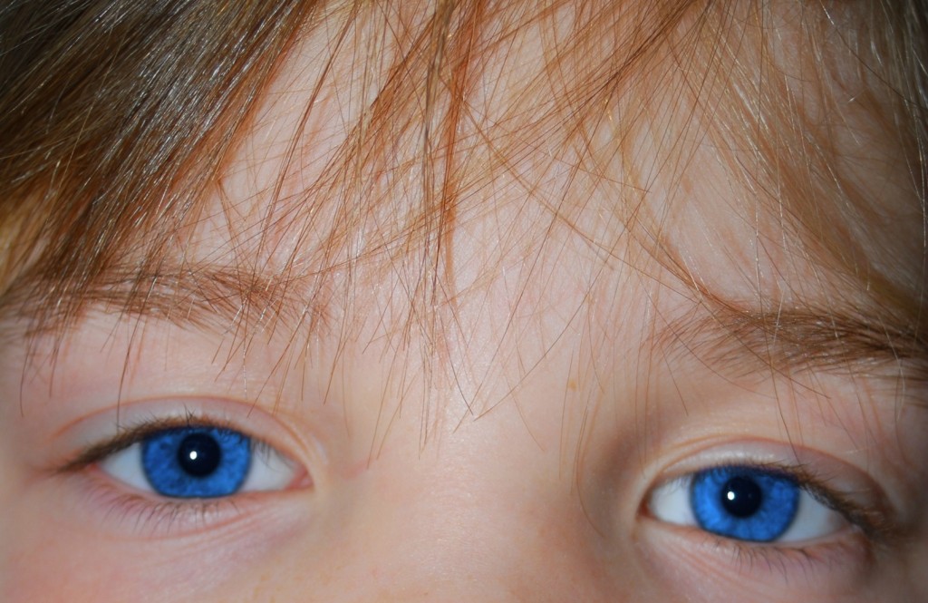 percentage of people with blue eyes