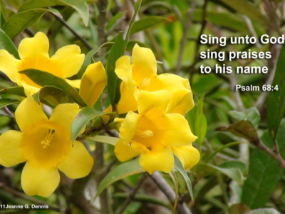 Sing unto God. Sing Praises to His Name. Psalm 68:4