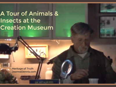 Tour of Animals & Insects at the Creation Museum, Heritage of Truth, JeanneDennis.com