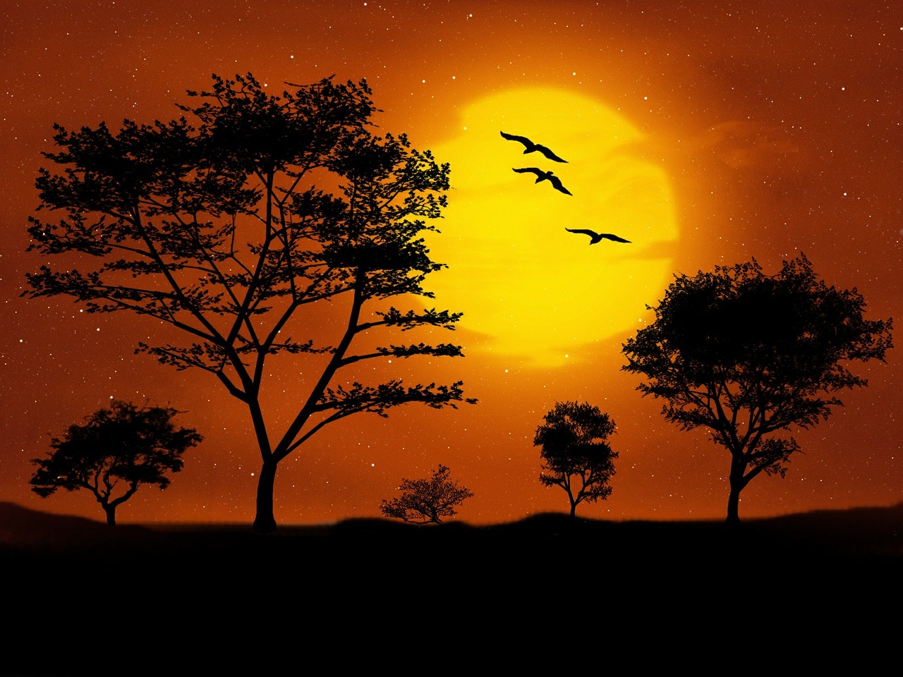 silhouette of birds and trees in orange moonlight