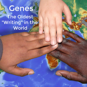 Genes the Oldest Writing in the World, three hands of different shades over world map