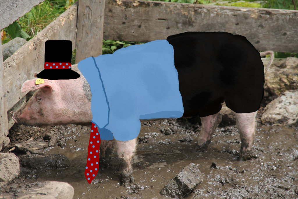 A dressed up pig is still a pig