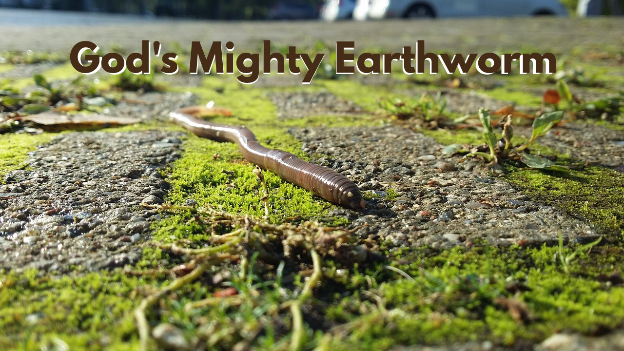 God's Mighty Earthworms